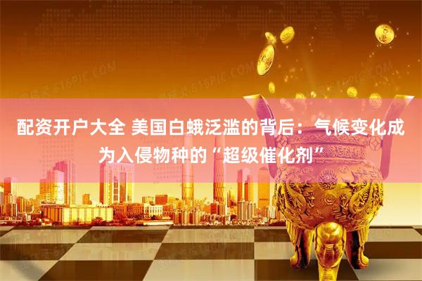 配资开户大全 美国白蛾泛滥的背后：气候变化成为入侵物种的“超级催化剂”