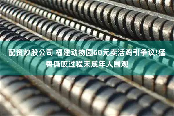 配资炒股公司 福建动物园60元卖活鸡引争议!猛兽撕咬过程未成年人围观