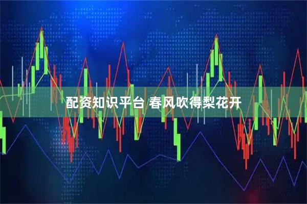 配资知识平台 春风吹得梨花开